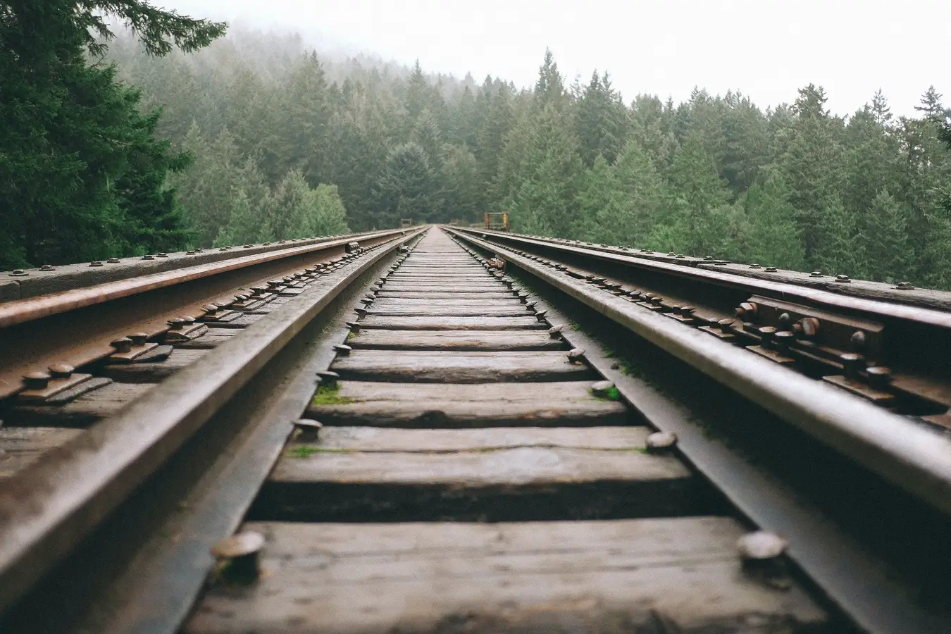 Weites Gleisfeld mit vielen parallelen Strängen, das sich zum Horizont verjüngt